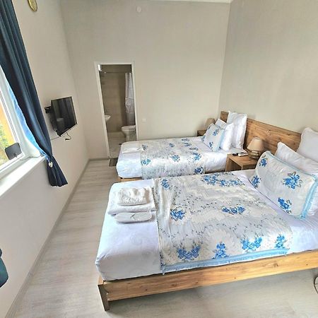 Hilltop Guest House קוטאיסי מראה חיצוני תמונה