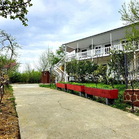 Hilltop Guest House קוטאיסי מראה חיצוני תמונה