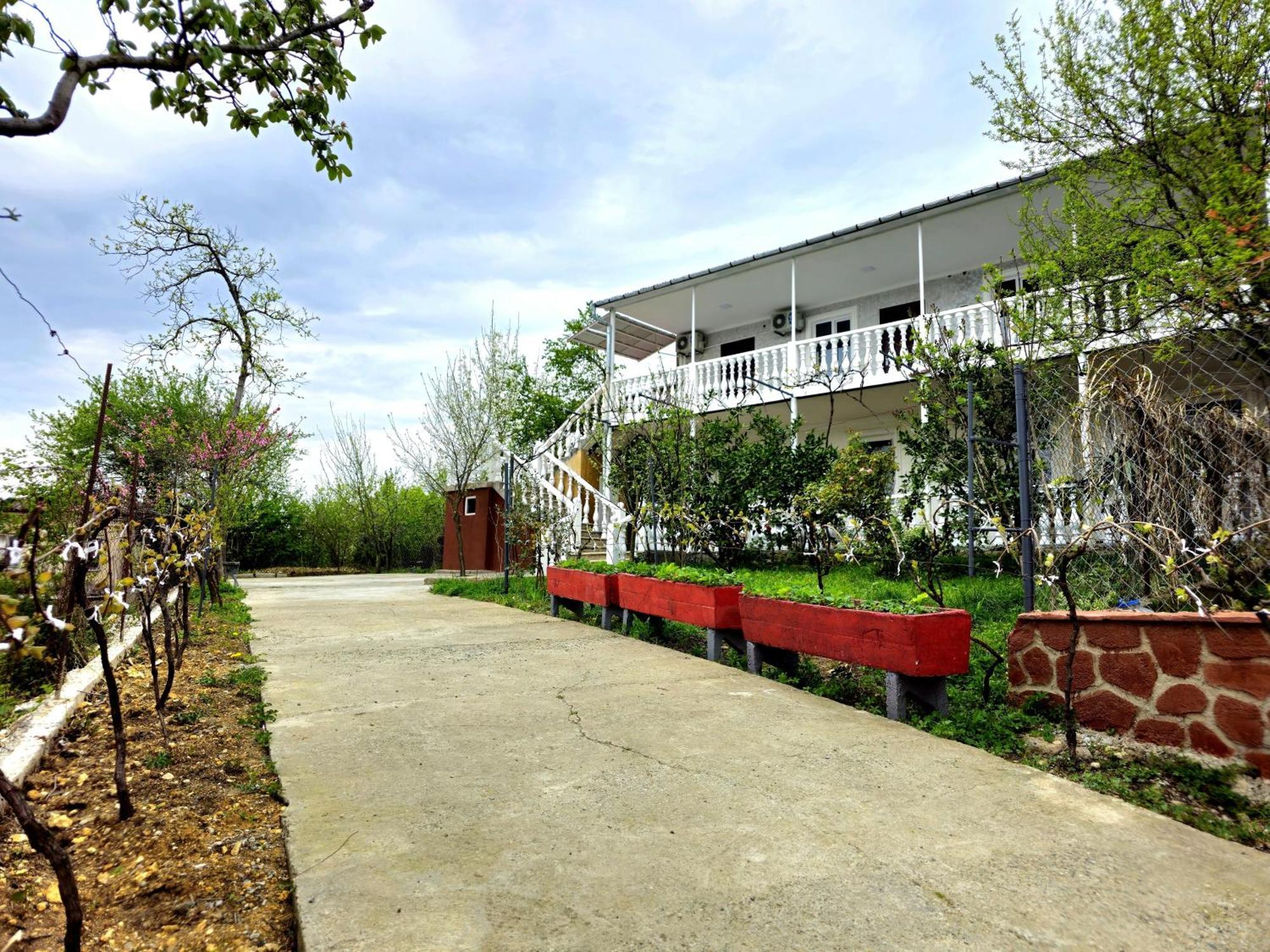 Hilltop Guest House קוטאיסי מראה חיצוני תמונה